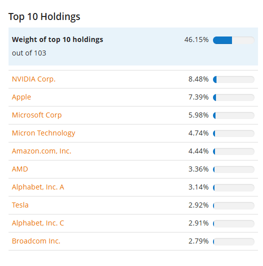 A tíz legnagyobb részvénypozíció egy 103 elemből álló portfólióban, összesen 46,15%-os súllyal. A legnagyobb részesedéssel az Nvidia (8,48%), az Apple (7,39%) és a Microsoft (5,98%) rendelkezik.