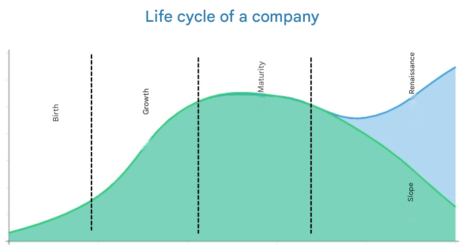 egy vállalat életciklusa