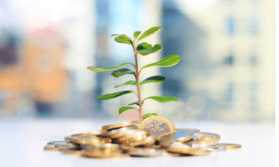 befektetés 2025-ben