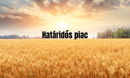 Határidős piac