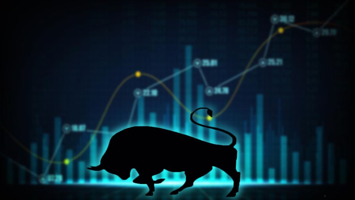 bull stock market