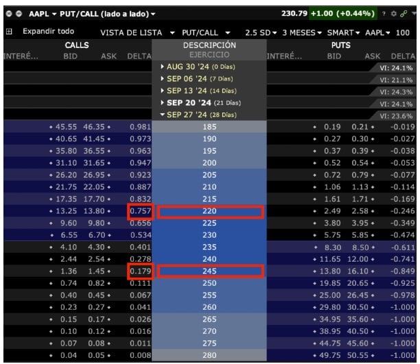 Interactive Brokers opciós lánca