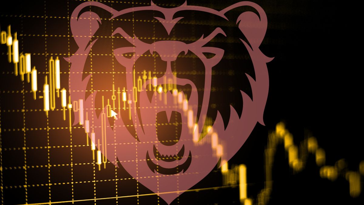 bear market stocks