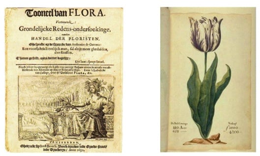 Tulipánláz